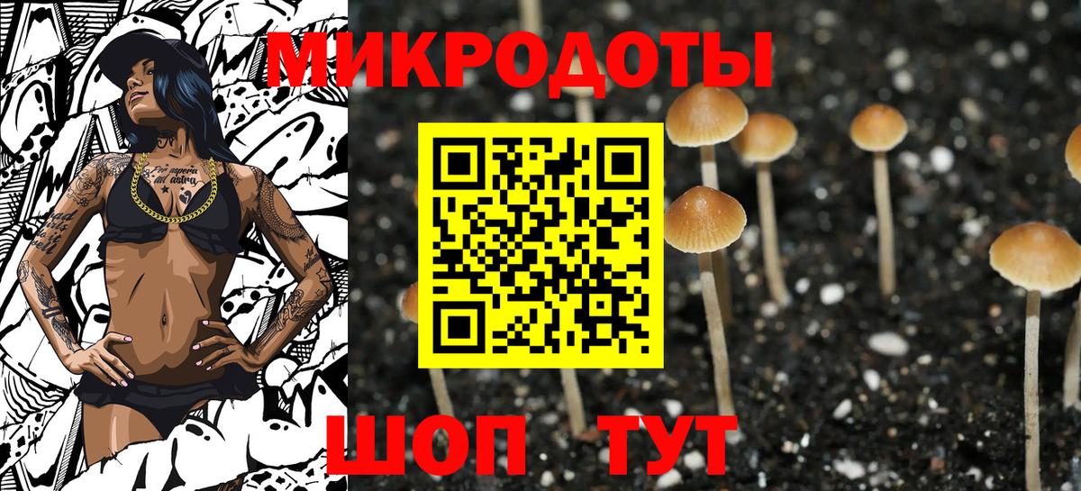 Галлюциногенные грибы Psilocybine cubensis Кольчугино